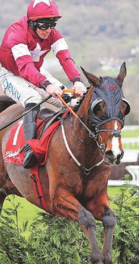 EDDIE: TRIALS RISE TOOK THE WIND OUT OF FAVORI'S SAILS