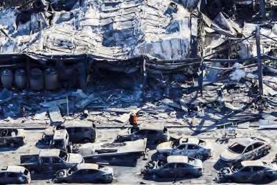 న్యూ ఇయర్ వేడుకల బాణాసంచాతో కార్చిచ్చు