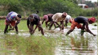 A good monsoon: Despite a dwindling share, agriculture could buttress India's growth projections amid rising global risks