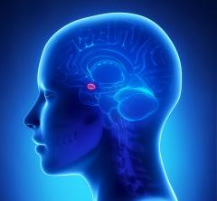 Tremors, seizures, paralysis: this brain disorder is more common than multiple sclerosis - but often goes undiagnosed