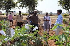 Scientists to meet farmers in fields from Monday: PJTAU Vice Chancellor
