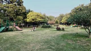 Mohali MC issues notices to RWAS over neglect of public parks