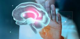 All about leptin resistance and how it affects your body