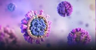 What is human coronavirus detected in a Kolkata woman? Here's all you need to know about this strain