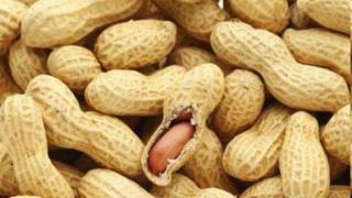 A peanut got stuck in 3-year-old's windpipe: Why are children prone to swallowing and feeding difficulties?