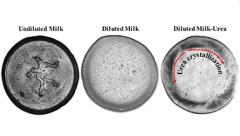 New method for detecting adulterants in milk