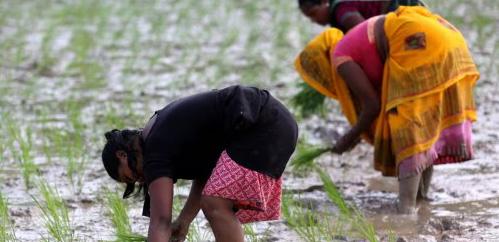The paradox of stagnant rural wages