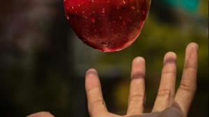 Physicists propose tabletop experiment to test gravity's quantumness