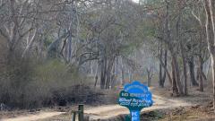 Bandipur authorities intensify awareness drives in villages surrounding the tiger reserve to prevent forest fires