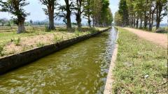 A death that spotlights irrigation problems