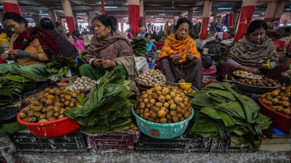 Food diversity is crucial to human and environmental health