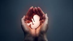 Why is there variation in India's fertility rates? | Explained