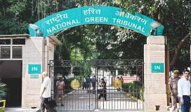Godavari river pollution in Telangana: NGT issues notice to central, state pollution boards