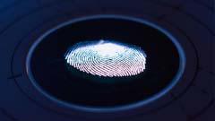 Fingerprints may also wrinkle uniquely