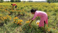 Fragmentation muddies the poll picture in north-west Maharashtra