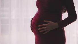 The Art and Science of Fitness | Reclaiming your fitness goals after pregnancy