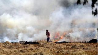 Paddy straw-based fuel use mandatory in brick kilns of Punjab, Haryana from Nov 1