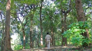 Karnataka Govt suspends senior IFS officer R Gokul over stand on forest land donated to HMT Ltd in Bengaluru