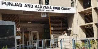 Punjab and Haryana High Court ruling boosts NRIs' right to reclaim property, clears eviction path for landowners