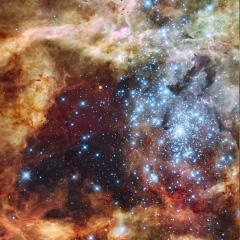 Hubble’s 35-year journey is a blueprint to understand the cosmos