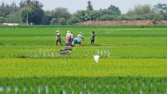 Land-holding farmers doing non-farming activities improve labour efficiency'