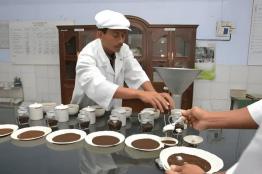 How to Decode Adulteration in Tea: What Every Consumer Should Know