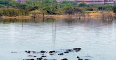 Day temperatures in Telangana likely to rise and reach a peak in May