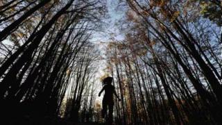 Yoga under a tree? How forest bathing, a Japanese routine, can help