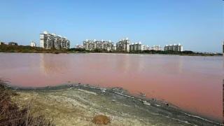 Mumbai’s water stock set to last for 39 days, BMC says no water cut amid good rainfall forecasts
