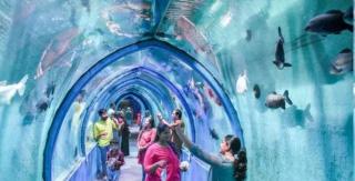 Hyderabad Zoo to set up Singapore-model tunnel-like aquarium