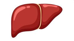 AI tool developed by Hyderabad hospital brings down fatty liver screening cost from 5,000 to 500
