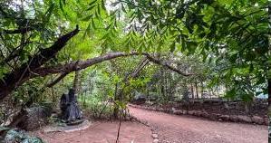 how Pune’s ‘nullah garden’ was transformed into the tranquil oasis Osho Teerth Park