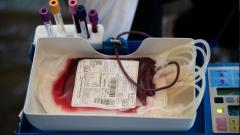 Our body’s crimson tide: understanding blood disorders and the vital role of blood donation