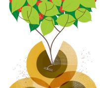 What can the budget do for agriculture