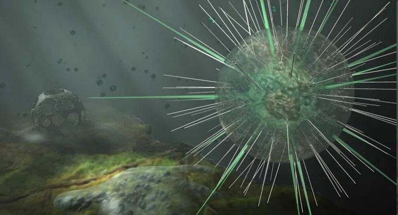 Deaths in Kerala spark concern over brain-eating amoeba threat