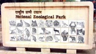 15-year-old male gaur dies at Delhi Zoo, played key role in breeding efforts