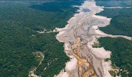Brazil auctions off several Amazon oil sites