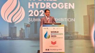 Govt, industry bullish on green hydrogen, but export demand falters amid global headwinds