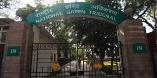 Ganesha devotees vs historic lake: PIL in NGT to urge authorities to protect Dhamapur lake in Maharashtra