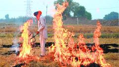 The discrepancy between satellite data of farm fires and air pollution | Explained