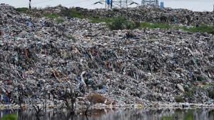 Taking health into consideration, is garbage incineration the way forward to tackle waste?