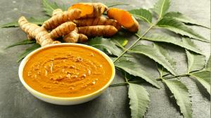 Ayurveda Biology in NET: Jagadesh Kumar explains why; some experts add caveats