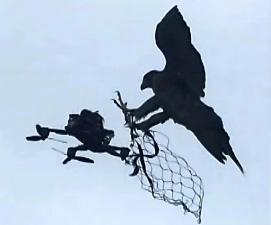 In Telangana, birds of a feather 'hunt' rogue drones together