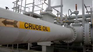 India's oil imports from US surged over 270% in first four months of year