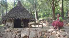 Jaladam Valley, home to Konda Reddi tribe, offers a glimpse into a centuries-old way of life