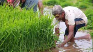 As hedging desk comes up for cotton and maize, soyabean farmers in Maharashtra ask: 'Why keep us away from futures market?'