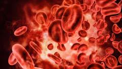 Blood and its components can be transported safely with drones by following guidelines: ICMR study