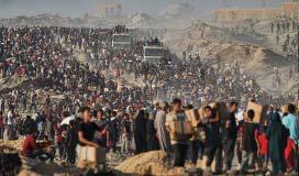 74 killed in Gaza as Israeli forces strike a cafe and fire on people seeking food