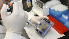 When a DNA analysis reveals a closely guarded family secret...