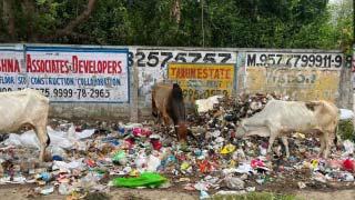 Gurgaon civic body to issue 4 zone-wise tenders for doorstep waste collection